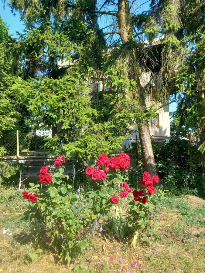 Apartment In The City Of Pilsen Bozkov Dış mekan fotoğraf